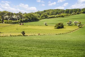 Photo 16- click for photo gallery